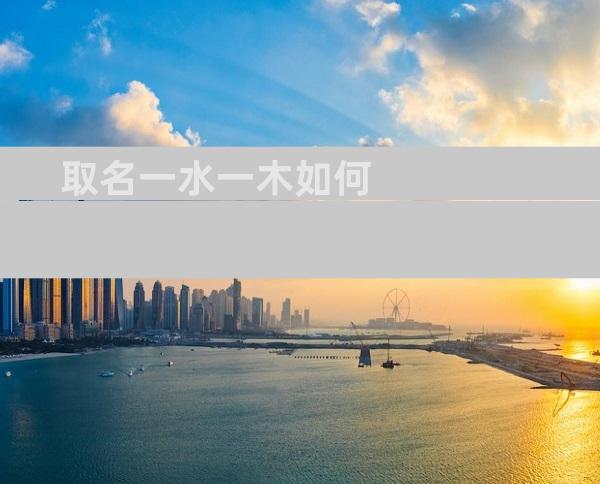 取名一水一木如何